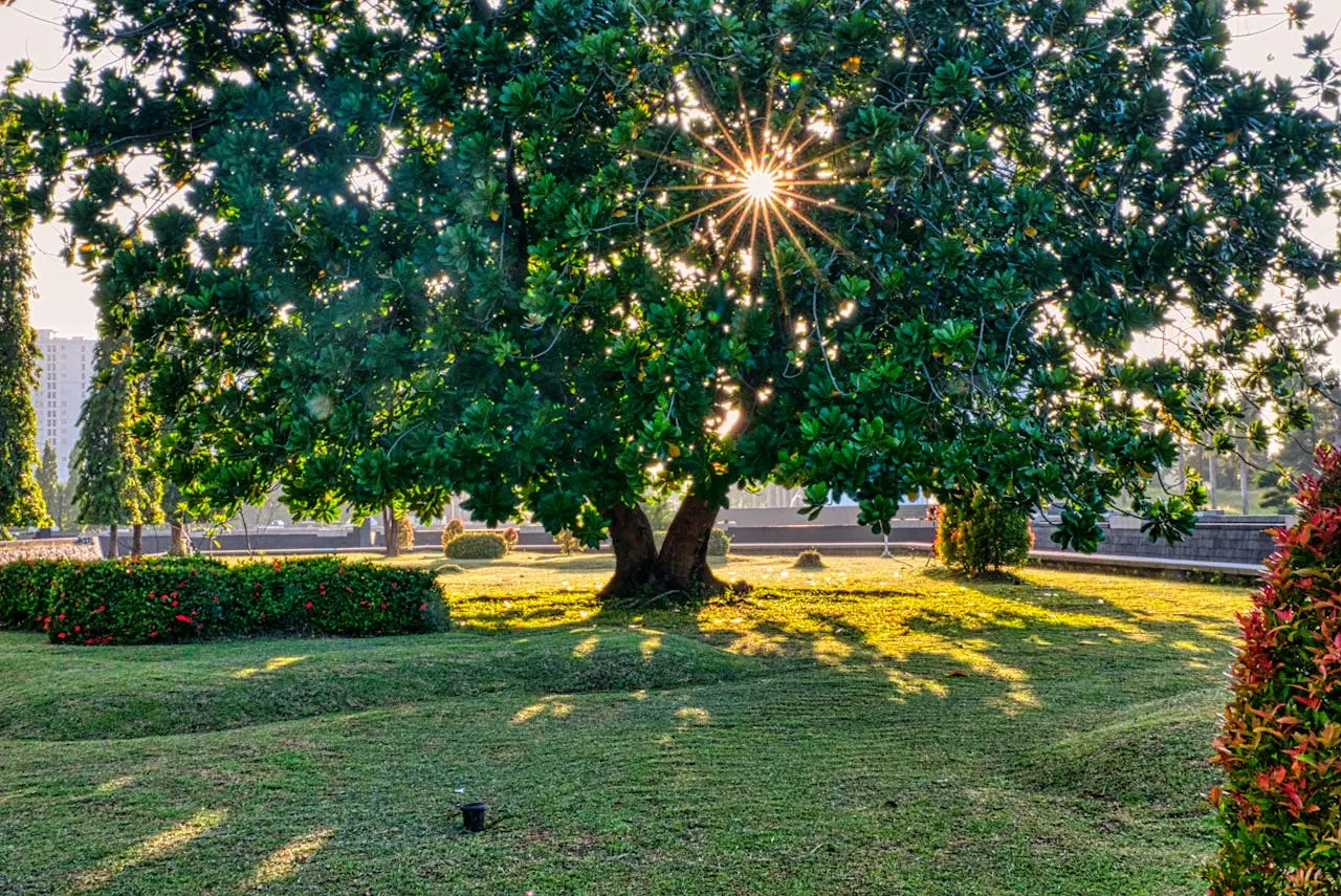 taman kota